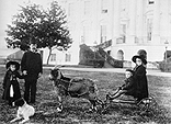 Picture of Russell Harrison  in a  wagon